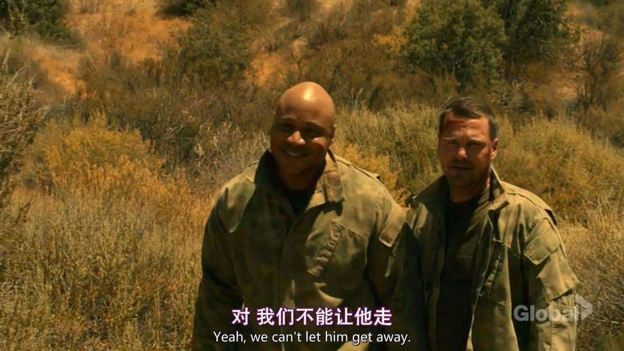 水师  功案没有雅不雅 察处：洛杉矶 第十季的剧照