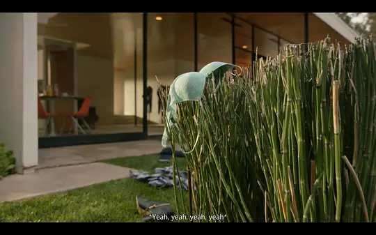 菜鸟老警 第一季的剧照