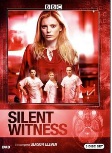 无声的证言第十一季
