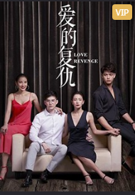 爱的复仇泰剧
